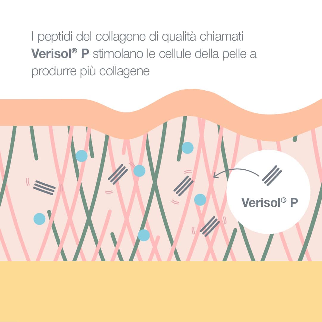 Verisol P stimola le cellule della pelle a produrre più collagene