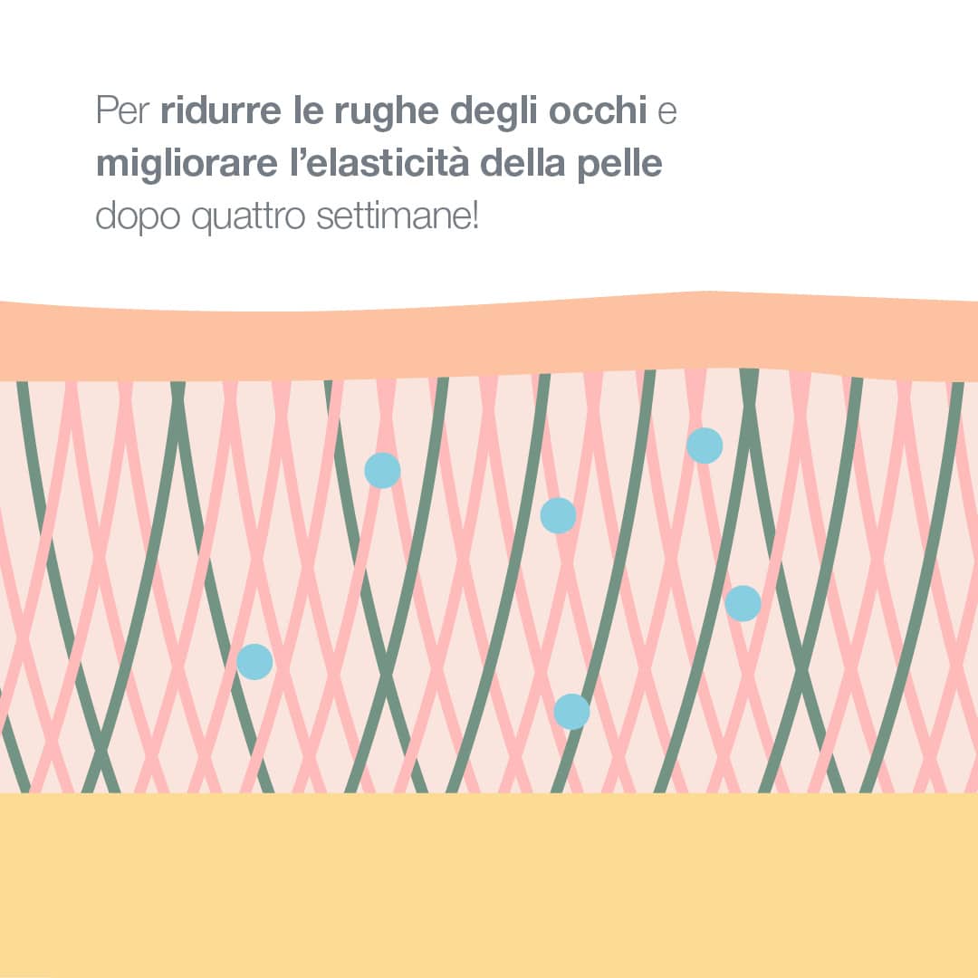 Riduce le rughe degli occhi e migliora l'elasticità della pelle dopo quattro settimane