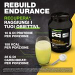 Herbalife Rebuild Endurance